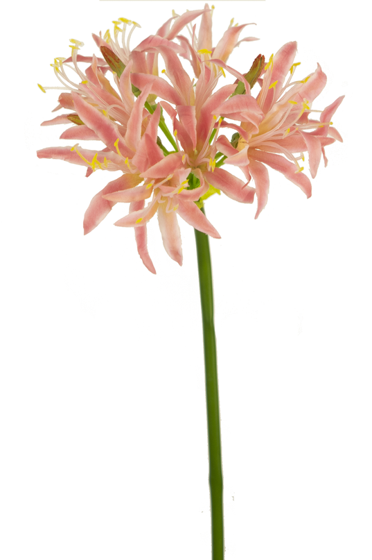 Künstliche Blume Nerine 70 cm rosa