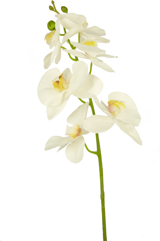 Künstliche Blume Orchidee 84 cm weiß