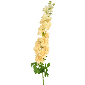 Künstliche Blume Delphinium 105 cm creme