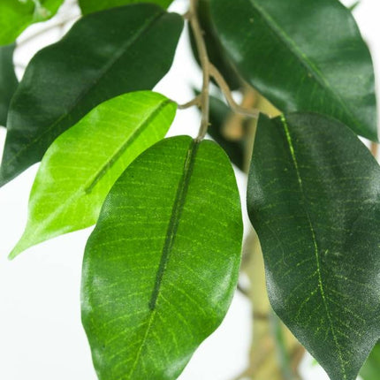 Künstliche Pflanze Ficus Grün 90 cm