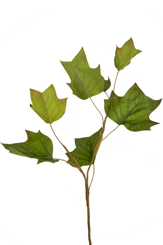 Künstliches Eichenblatt 84 cm grün