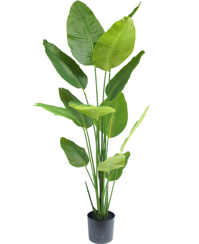 Künstliche Pflanze Strelitzia 180 cm real touch