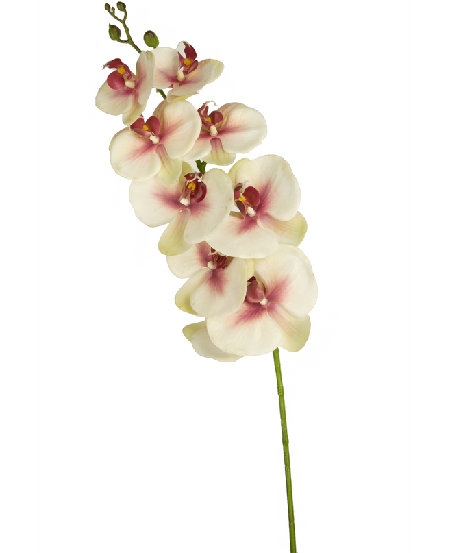 Künstliche Orchidee Real Touch Deluxe 105 cm rosa/weiß