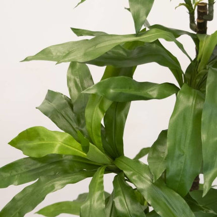 Künstliche Pflanze Dracena Fragnans 150 cm