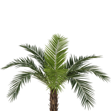 Künstliche Palme Phoenix Kanarienvogel 160 cm