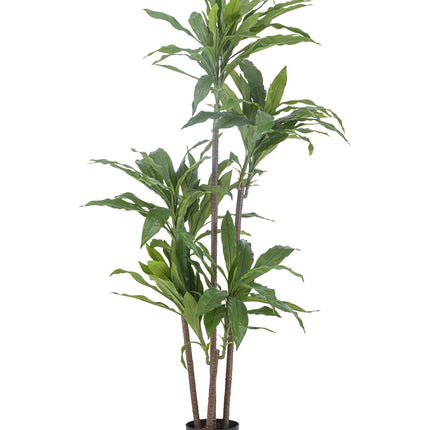 Künstliche Pflanze Dracena Fragnans 150 cm