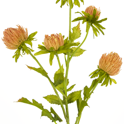 Künstliche Blume Distel 66 cm Pfirsich
