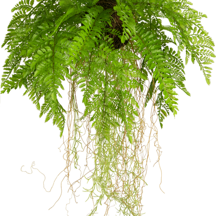 Künstliche Hängepflanze Farn mit Wurzeln d35 cm mit Aufhängesystem