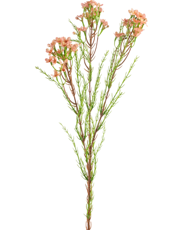 Künstlicher Zweig Waxflower 78 cm rosa